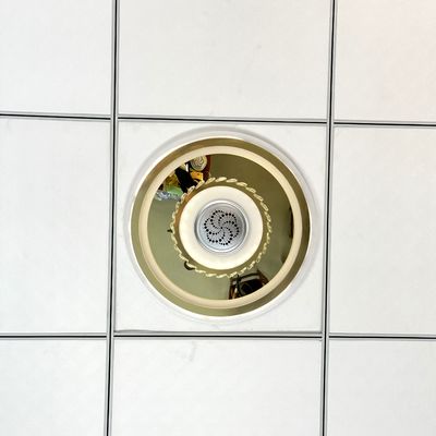 Módulo de Ionização DC12V para Lâmpada Gerador de Íons Negativos 8KV OEM